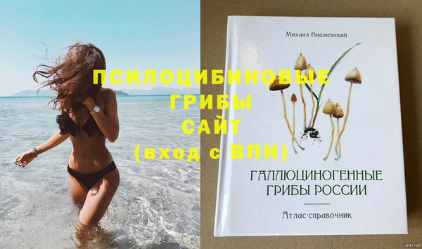 сатива Янаул