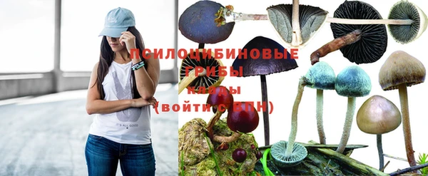 а пвп мука Абдулино
