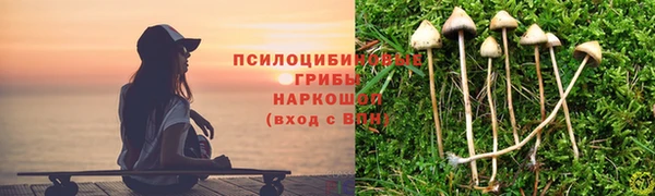 спиды Абаза