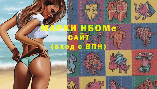 сатива Янаул
