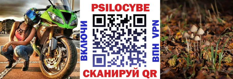 Псилоцибиновые грибы GOLDEN TEACHER  Абдулино 